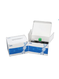 COVID-19 Test Kits